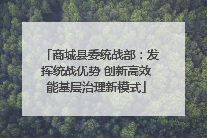 商城县委统战部：发挥统战优势 创新高效能基层治理新模式
