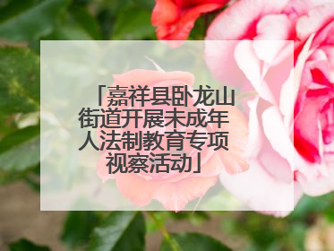 嘉祥县卧龙山街道开展未成年人法制教育专项视察活动
