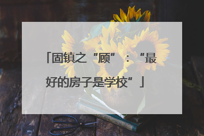 固镇之“顾”：“最好的房子是学校”