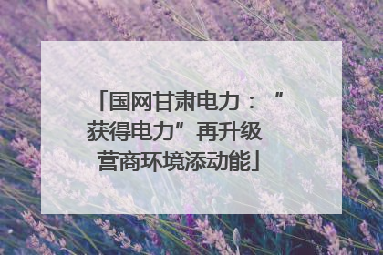 国网甘肃电力：“获得电力”再升级 营商环境添动能