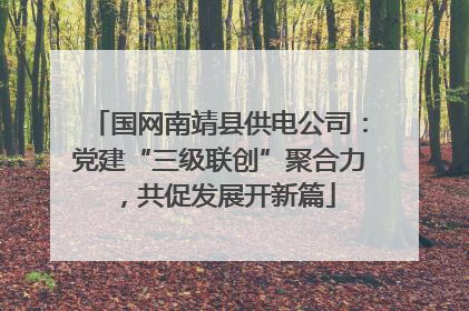国网南靖县供电公司：党建“三级联创”聚合力，共促发展开新篇