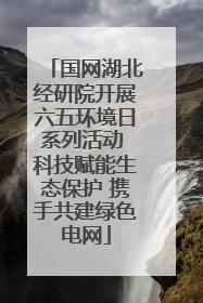 国网湖北经研院开展六五环境日系列活动 科技赋能生态保护 携手共建绿色电网