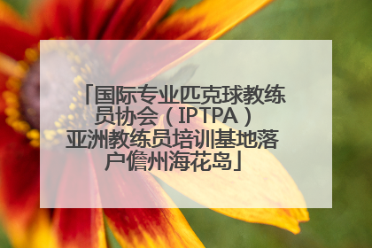 国际专业匹克球教练员协会（IPTPA）亚洲教练员培训基地落户儋州海花岛
