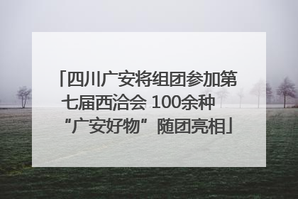 四川广安将组团参加第七届西洽会 100余种“广安好物”随团亮相