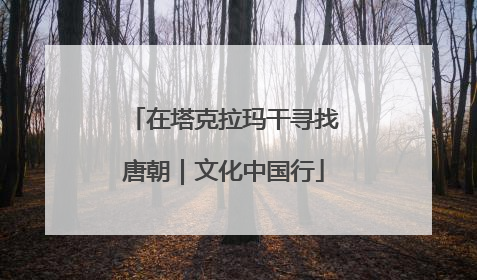 在塔克拉玛干寻找唐朝｜文化中国行