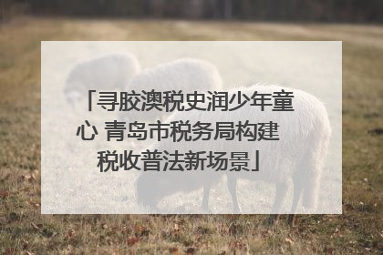 寻胶澳税史润少年童心 青岛市税务局构建税收普法新场景