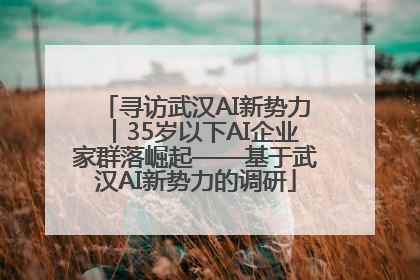 寻访武汉AI新势力︱35岁以下AI企业家群落崛起——基于武汉AI新势力的调研