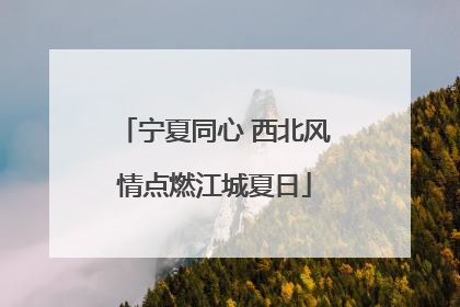 宁夏同心 西北风情点燃江城夏日