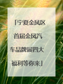 宁夏金凤区 首届金凤汽车品牌展四大福利等你来