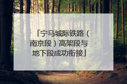 宁马城际铁路（南京段）高架段与地下段成功衔接