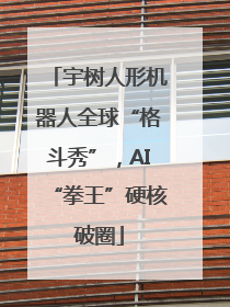 宇树人形机器人全球“格斗秀”，AI“拳王”硬核破圈