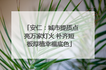 安仁：城市提质点亮万家灯火 补齐短板厚植幸福底色