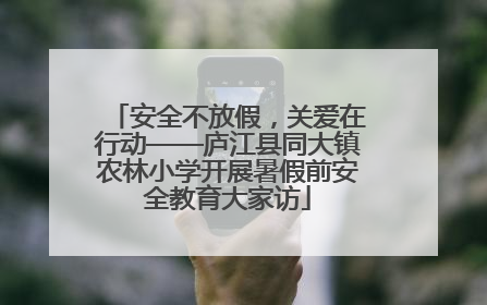 安全不放假，关爱在行动——庐江县同大镇农林小学开展暑假前安全教育大家访
