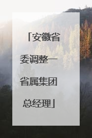 安徽省委调整一省属集团总经理