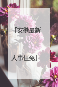 安徽最新人事任免