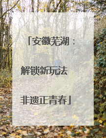 安徽芜湖：解锁新玩法 非遗正青春