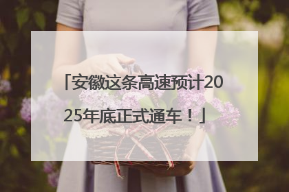 安徽这条高速预计2025年底正式通车！