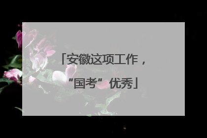 安徽这项工作，“国考”优秀