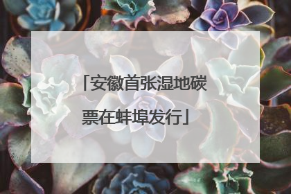 安徽首张湿地碳票在蚌埠发行