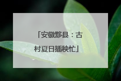 安徽黟县：古村夏日插秧忙