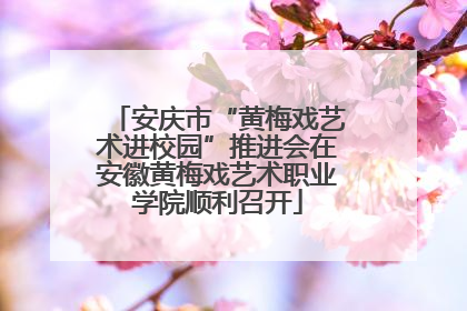 安庆市“黄梅戏艺术进校园”推进会在安徽黄梅戏艺术职业学院顺利召开