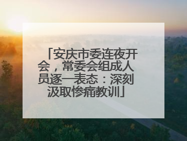 安庆市委连夜开会，常委会组成人员逐一表态：深刻汲取惨痛教训