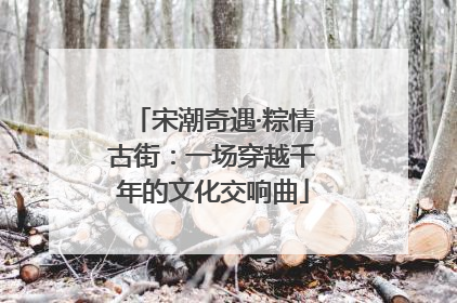 宋潮奇遇·粽情古街：一场穿越千年的文化交响曲