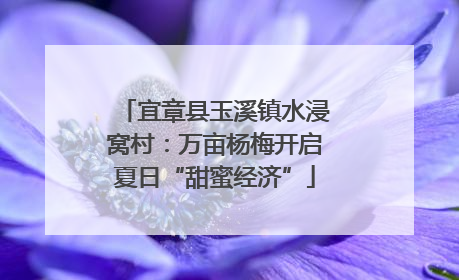 宜章县玉溪镇水浸窝村：万亩杨梅开启夏日“甜蜜经济”