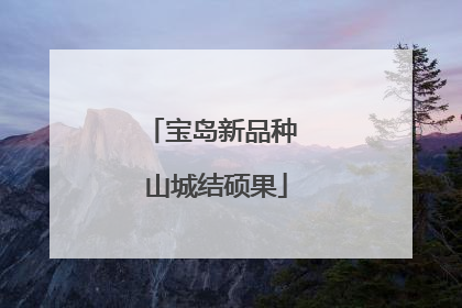 宝岛新品种 山城结硕果