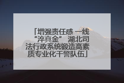 增强责任感 一线“淬真金” 湖北司法行政系统锻造高素质专业化干警队伍