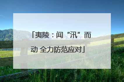 夷陵：闻“汛”而动 全力防范应对