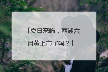 夏日来临，西湖六月黄上市了吗？