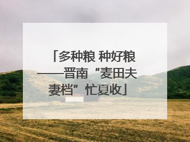多种粮 种好粮——晋南“麦田夫妻档”忙夏收