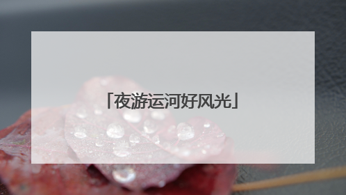 夜游运河好风光