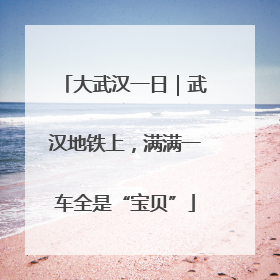 大武汉一日｜武汉地铁上，满满一车全是“宝贝”