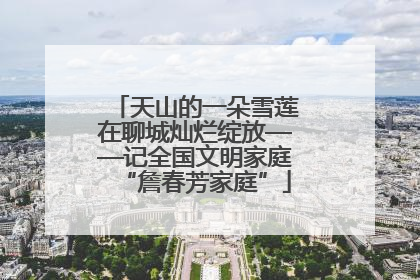 天山的一朵雪莲在聊城灿烂绽放——记全国文明家庭“詹春芳家庭”