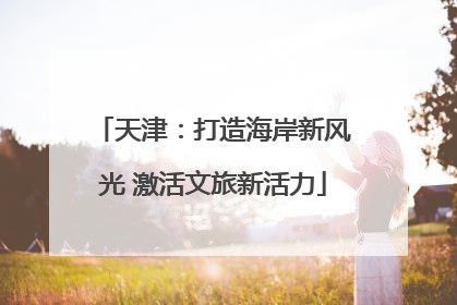 天津：打造海岸新风光 激活文旅新活力