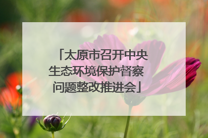 太原市召开中央生态环境保护督察问题整改推进会