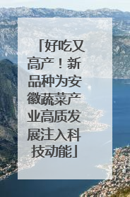 好吃又高产！新品种为安徽蔬菜产业高质发展注入科技动能