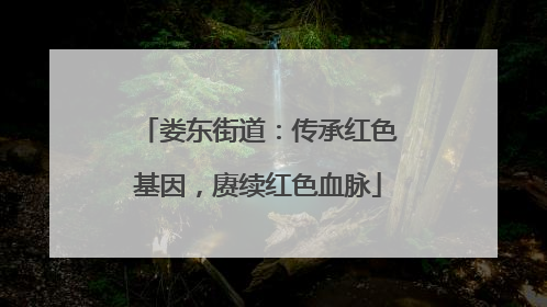 娄东街道：传承红色基因，赓续红色血脉