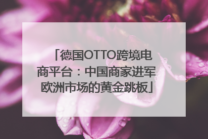 德国OTTO跨境电商平台：中国商家进军欧洲市场的黄金跳板