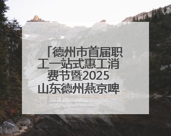 德州市首届职工一站式惠工消费节暨2025山东德州燕京啤酒文化节开幕