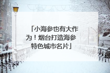 小海参也有大作为！烟台打造海参特色城市名片