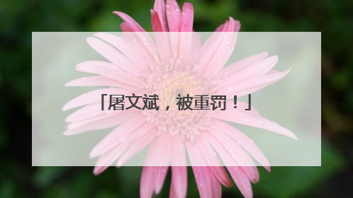 屠文斌，被重罚！