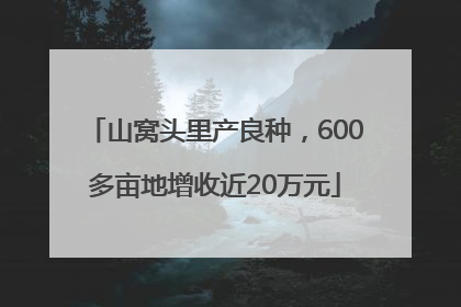 山窝头里产良种，600多亩地增收近20万元