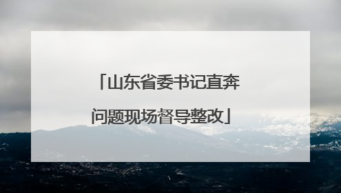 山东省委书记直奔问题现场督导整改