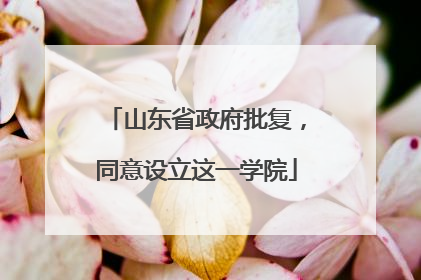 山东省政府批复，同意设立这一学院