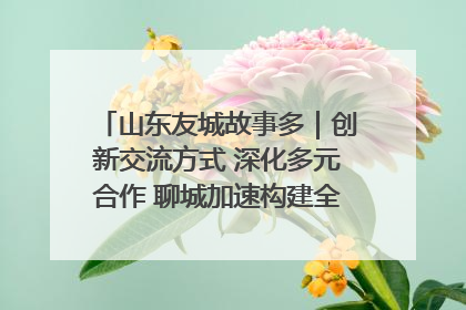 山东友城故事多｜创新交流方式 深化多元合作 聊城加速构建全球友城新格局