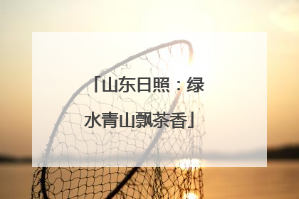 山东日照：绿水青山飘茶香