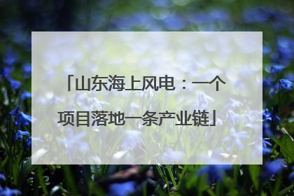 山东海上风电：一个项目落地一条产业链